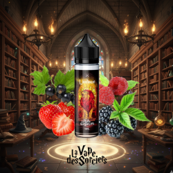 LIONHOUSE - LA VAPE DES SORCIERS