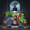 BRANY - LA VAPE DE FER